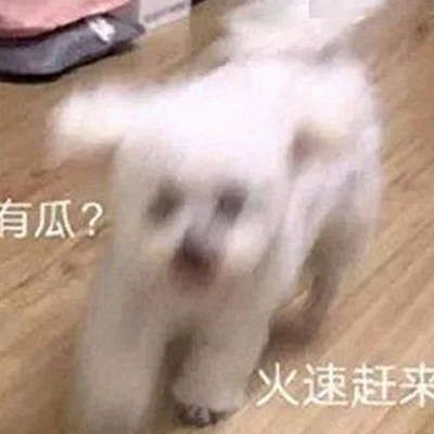 www.91色😍萝网站免费官方版带来最新娱乐动态