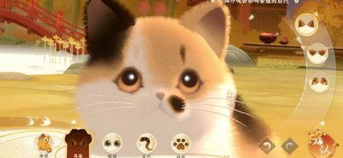 全面解析十大黄色软件官方版：现状与资源获取指南