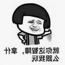 揭秘免费视频免费版：绥化市用户的最新在线观看体验