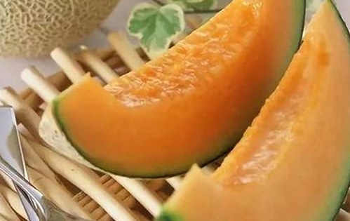 最新解析：如何安全获取撸撸射最新版下载与相关软件资源