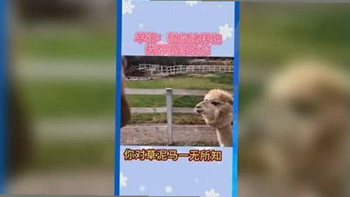 小🐔🐔伸进🈲🔞🔞A免费版官方版：最新动态与相关资源介绍