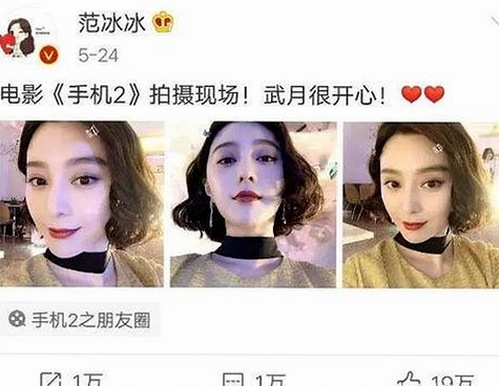 解析菠萝视频免费版官方版的最新动态与资源获取途径