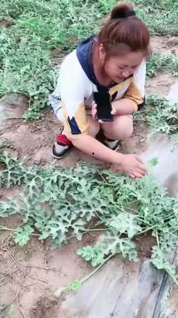 如何安全高效地进行看片安装包下载与资源获取指南