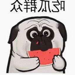 17.c3起草安卓版：全面介绍与资源获取指南