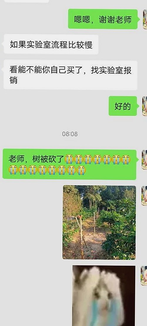 揭秘黄色视频9官方版：趣味背后的人物变化与行业趋势