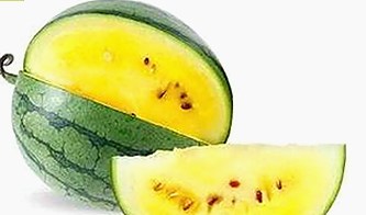 高清🈚码🔞❌♋免费菠萝视频官方版下载：最新资源与使用指南