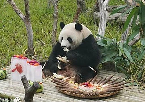 探索时代变迁中的精彩内容：www.91免费版带你领略多元娱乐