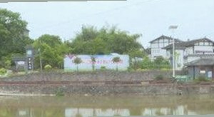 全面解析：免费91免费版的最新优势与资源推荐