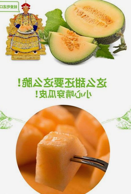 全面解析麻豆视频在线观看官方版下载及相关热门资源