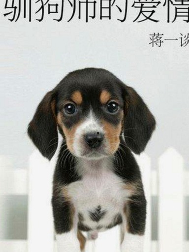 探索www.色 萝网站17c官方版最新动态与内容介绍