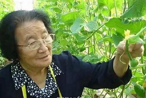 刘宇宁体验红桃视频免费版官方版：动漫爱好者的新选择
