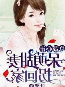 探索www91官方版免费版的最新发展与用户体验差异