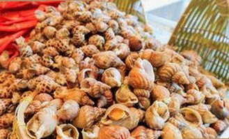 揭秘高清🈚码🔞❌♋免91最新版下载：安全与体验并重的选择