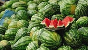 快速获取最新资源：香蕉视频官方版下载指南