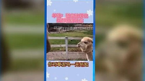 雅安市用户热议：免费91最新版下载带来的便利