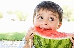 衡水市用户热议：91网站免费版带来全新体验