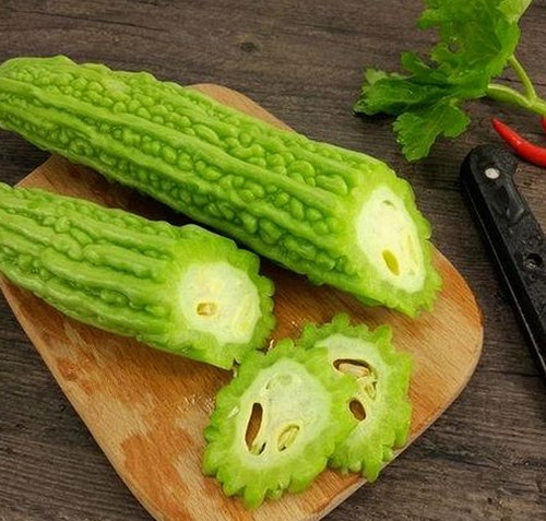 最新！蘑菇视频官方版下载助你畅享优质内容