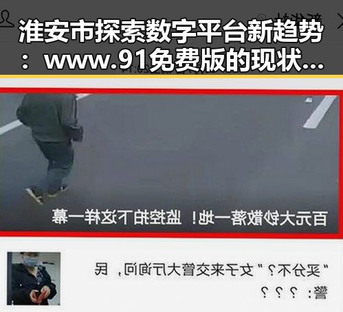 淮安市探索数字平台新趋势：www.91免费版的现状与未来