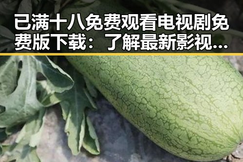 已满十八免费观看电视剧免费版下载:了解最新影视资源获取途径