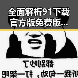 全面解析91下载官方版免费版:安全、便捷的首选