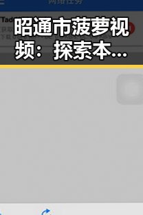 昭通市菠萝视频:探索本地特色的视频平台