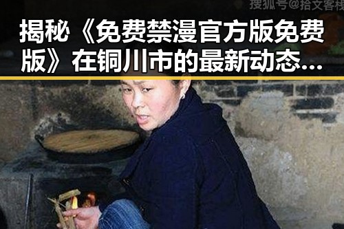 揭秘《免费禁漫官方版免费版》在铜川市的最新动态与讨论