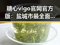 糖心vlgo官网官方版：盐城市最全面的娱乐资讯平台