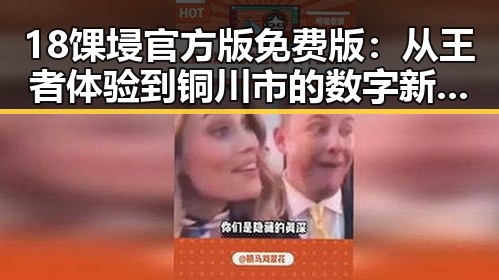 18馃埐官方版免费版：从王者体验到铜川市的数字新风潮
