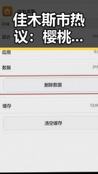 佳木斯市热议：樱桃视频官方版下载引领娱乐新潮流
