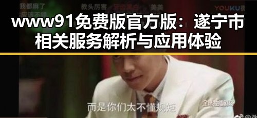 www91免费版官方版：遂宁市相关服务解析与应用体验