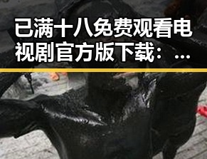 已满十八免费观看电视剧官方版下载：从热议到争议的背后变化
