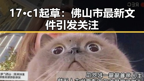 17·c1起草:佛山市最新文件引发关注