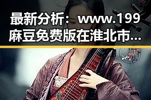最新分析：www.199麻豆免费版在淮北市的现状与发展