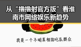 从“撸撸射官方版”看淮南市网络娱乐新趋势