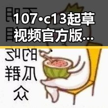 107·c13起草视频官方版：深入解析与背景解读