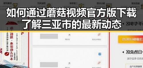 如何通过蘑菇视频官方版下载了解三亚市的最新动态