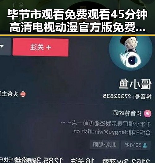 毕节市观看 免费观看45分钟高清电视动漫官方版免费版推荐
