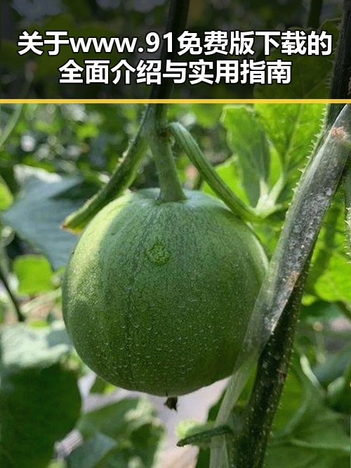 关于www.91免费版下载的全面介绍与实用指南