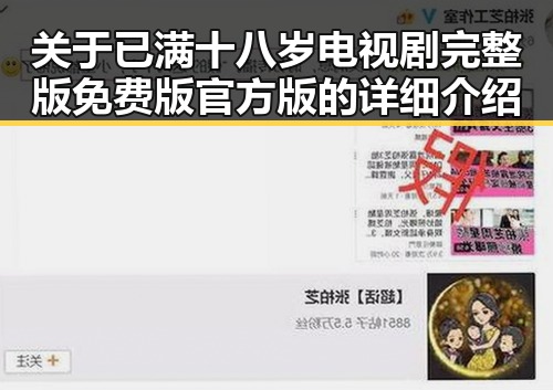 关于已满十八岁电视剧完整版免费版官方版的详细介绍