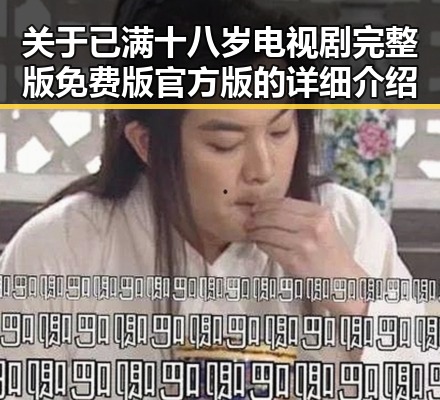 关于已满十八岁电视剧完整版免费版官方版的详细介绍
