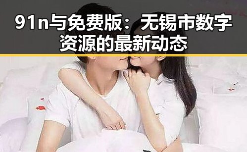 91n与免费版:无锡市数字资源的最新动态