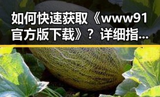 如何快速获取《www91官方版下载》？详细指南助你一臂之力