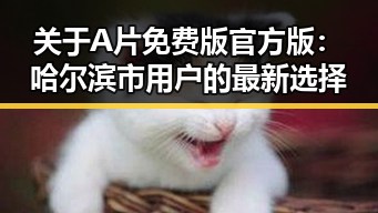 关于A片免费版官方版:哈尔滨市用户的最新选择