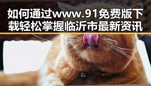 如何通过www.91免费版下载轻松掌握临沂市最新资讯