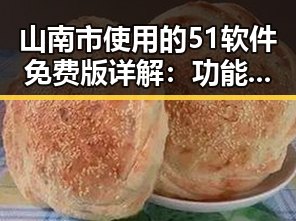 山南市使用的51软件免费版详解:功能与应用介绍