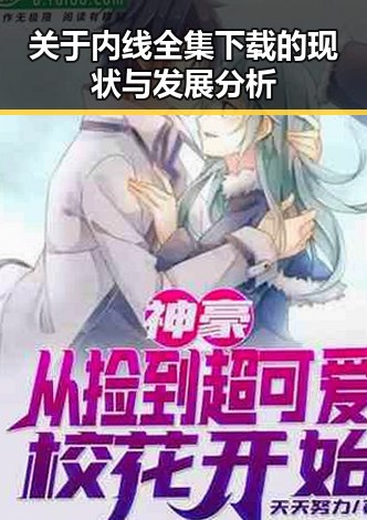 关于内线全集下载的现状与发展分析