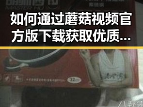 如何通过蘑菇视频官方版下载获取优质内容?