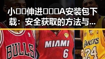 小🐔🐔伸进🈲🔞🔞A安装包下载:安全获取的方法与注意事项