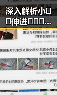 深入解析小🐔🐔伸进🈲🔞🔞官方免费版的最新动态与背景