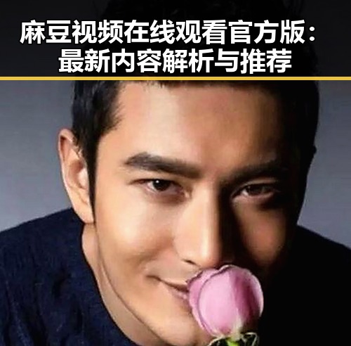 麻豆视频在线观看官方版：最新内容解析与推荐